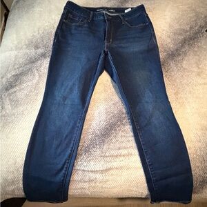 Old Navy Dark Blue Women's Skinny Jeans